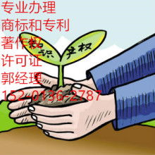 網(wǎng)絡文化經(jīng)營 機遇、挑戰(zhàn)與合規(guī)之道